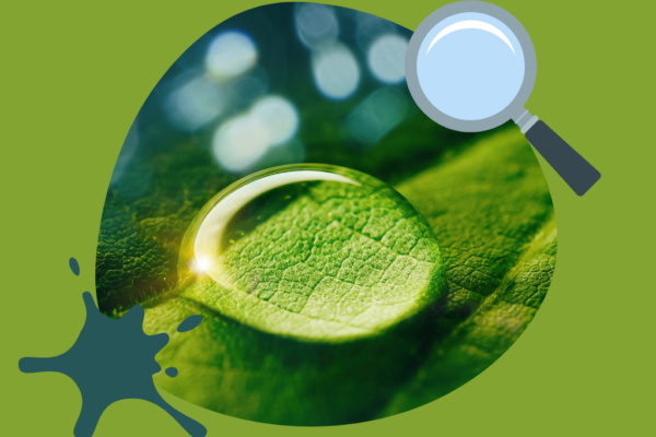 Waterdrop acting as a magnifying glass