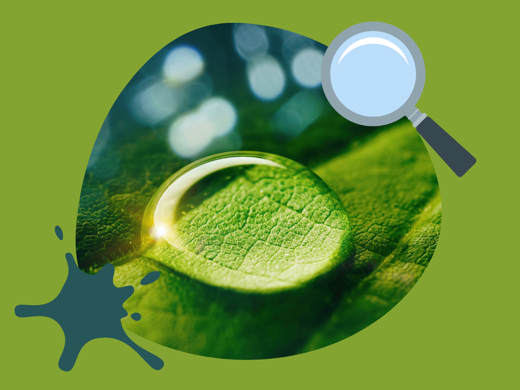 Waterdrop acting as a magnifying glass