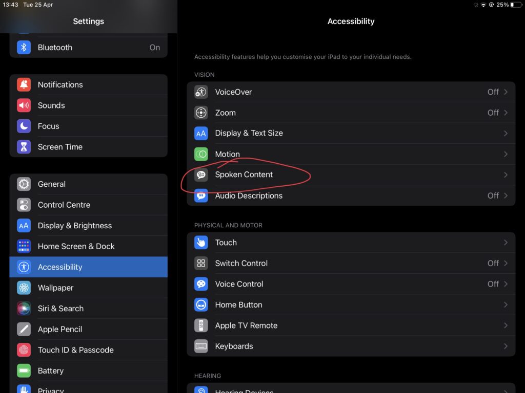 The accessibility menu on iPad