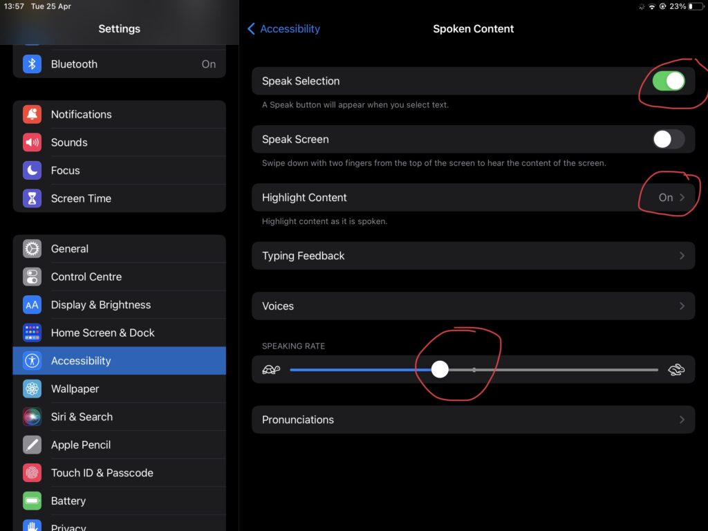 Spoken Content Settings on ipad
