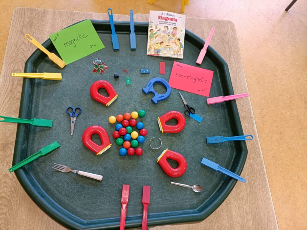 A tuff tray with items for play around magnetism